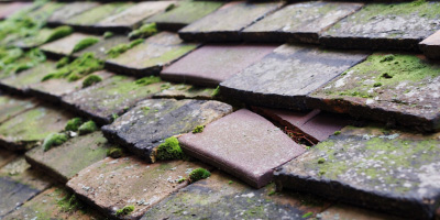 Denham Garden Village roof repair costs